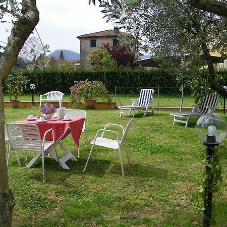 Triolivo B&B Lucca Esterno foto