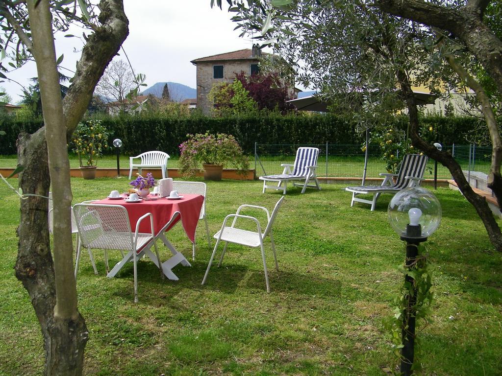 Triolivo B&B Lucca Esterno foto