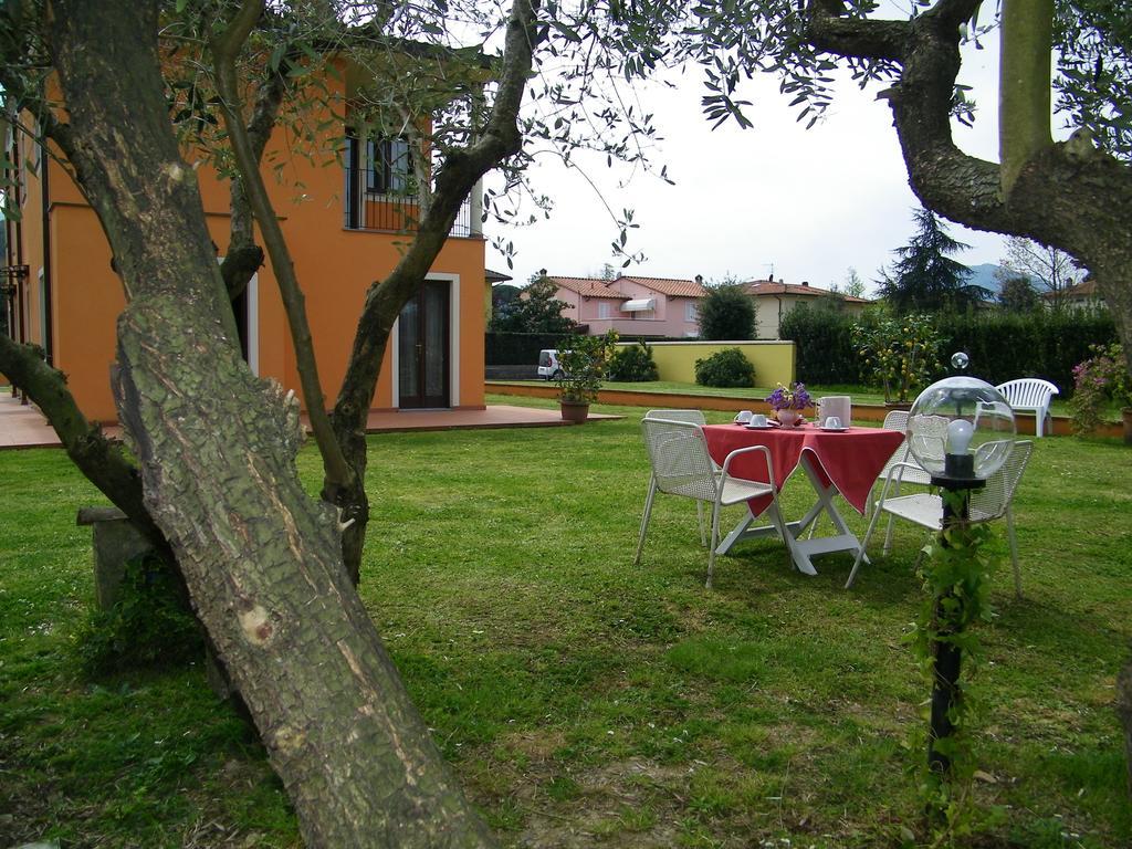 Triolivo B&B Lucca Esterno foto